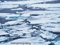 Pack Ice Spitsbergen